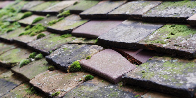 Denbigh roof repair costs